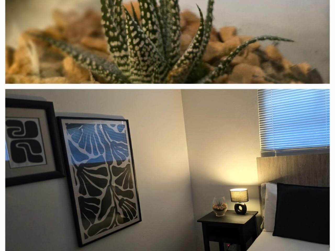 The Lantern Guesthouse บลูมฟอนเทน ภายนอก รูปภาพ